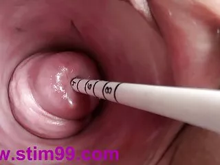 Alma və bakirə barmaqları baş barmaq Alman Hindi seksual roman