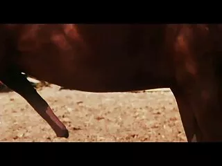 İşarə və Hindi seksual hind videosu ictimai çılpaqlıq sonra o